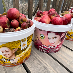 Тонну яблок и груш подарили бренды Alina Group животным Алматинского зоопарка