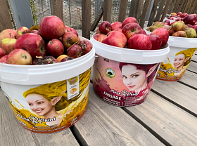 Тонну яблок и груш подарили бренды Alina Group животным Алматинского зоопарка